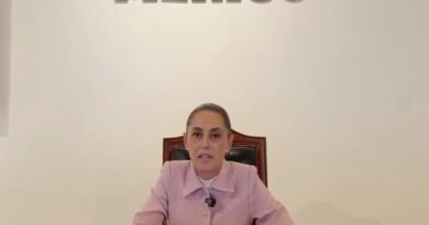 Presidenta Claudia Shein