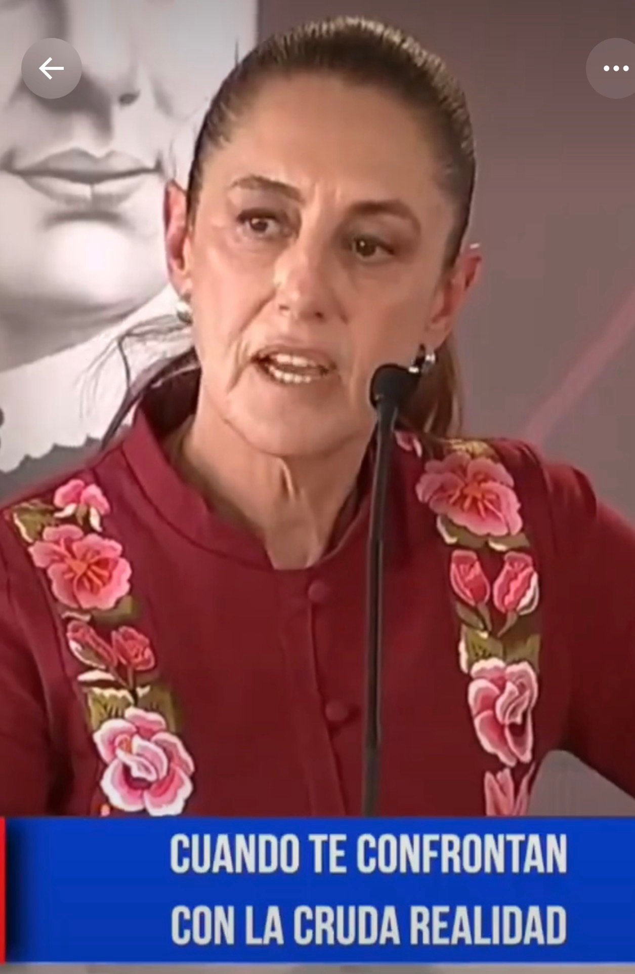 Presupuesto público en debate: ¿por qué el Tren Maya recibe más recursos que el INE?